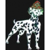 FIRE DEPARTMENT DOG DALMATIAN LARGE PIN